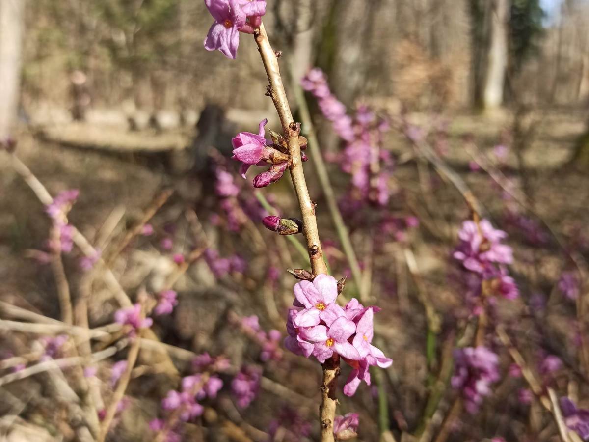 Itt a tavasz, vár a természet