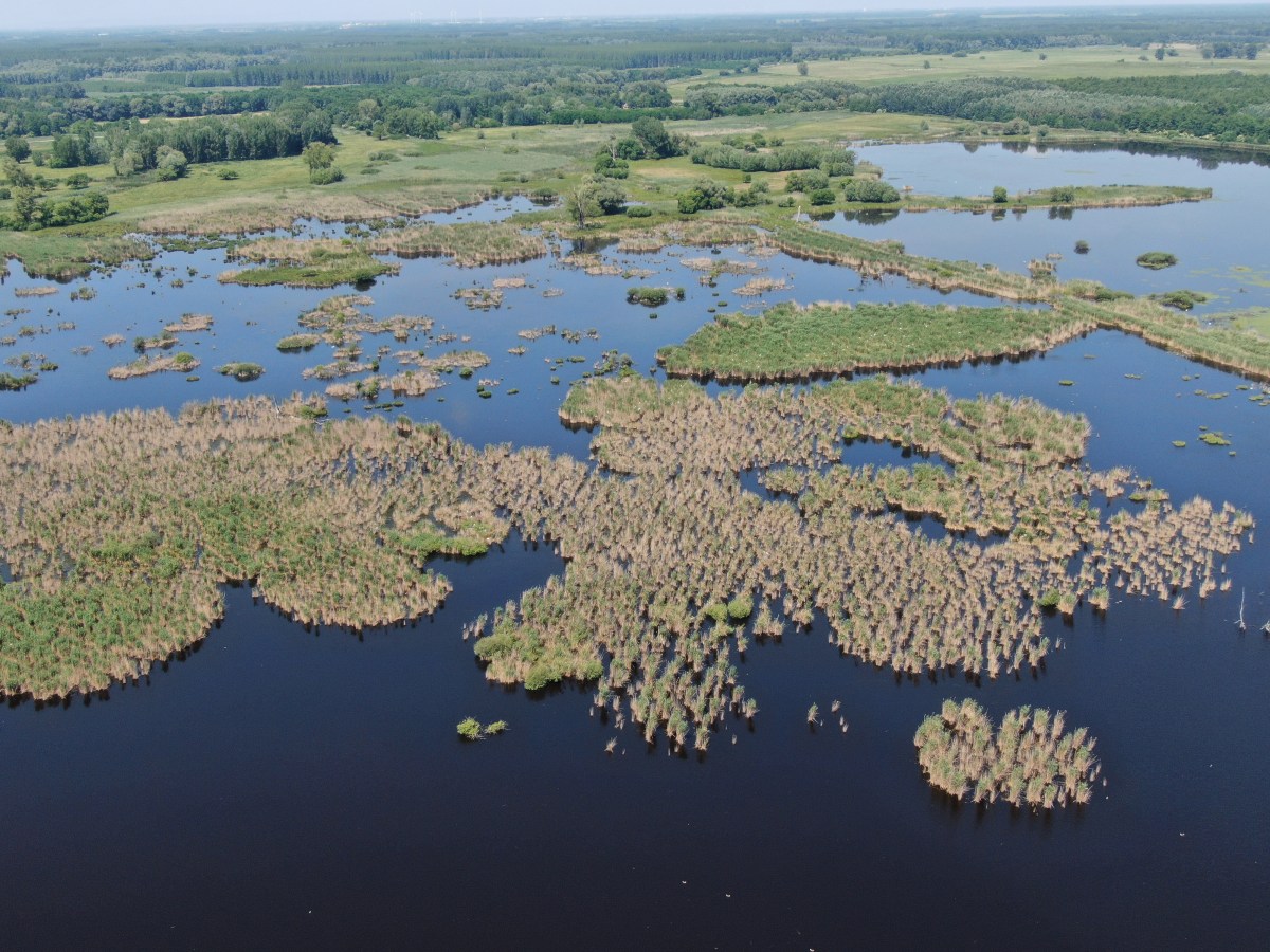 A Vizes Élőhelyek Világnapja (február 2.)